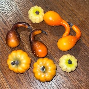 Set of Decorative Fall Gourds